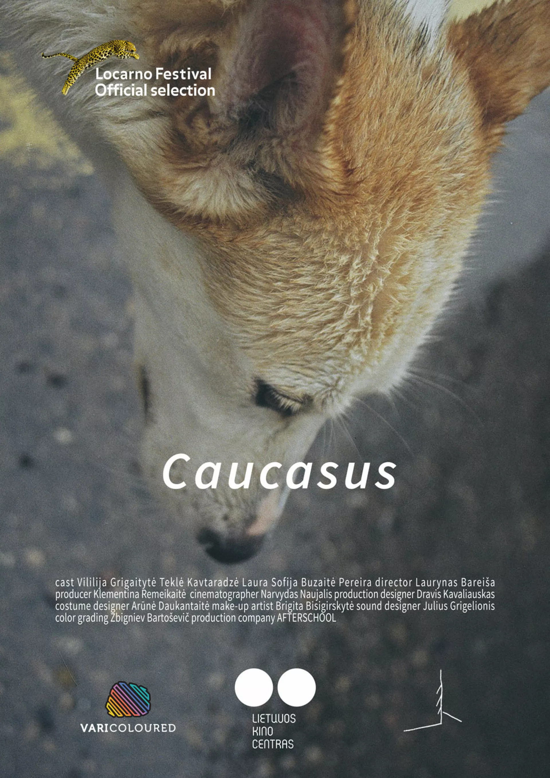Kaukazas