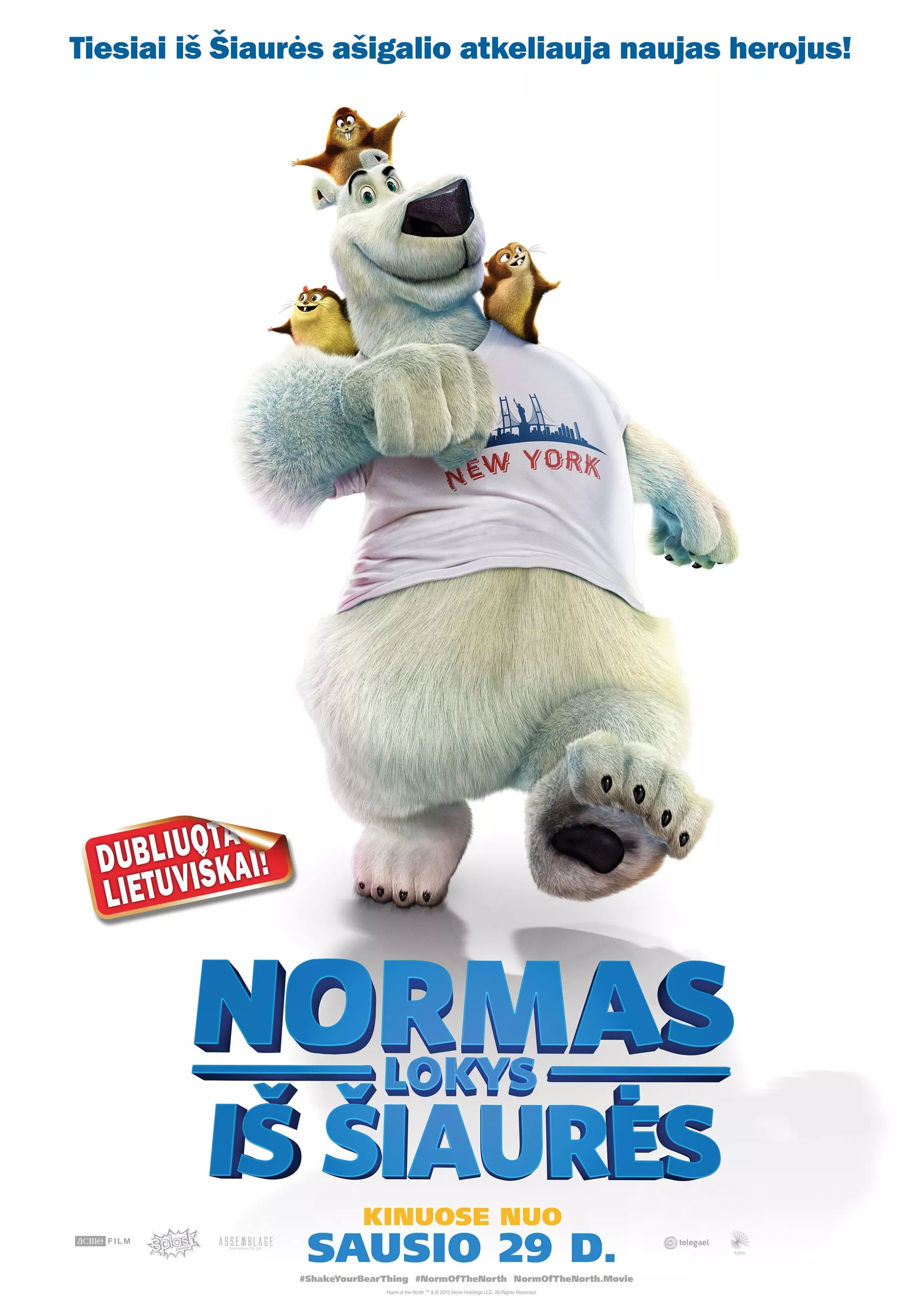 Normas, lokys iš Šiaurės