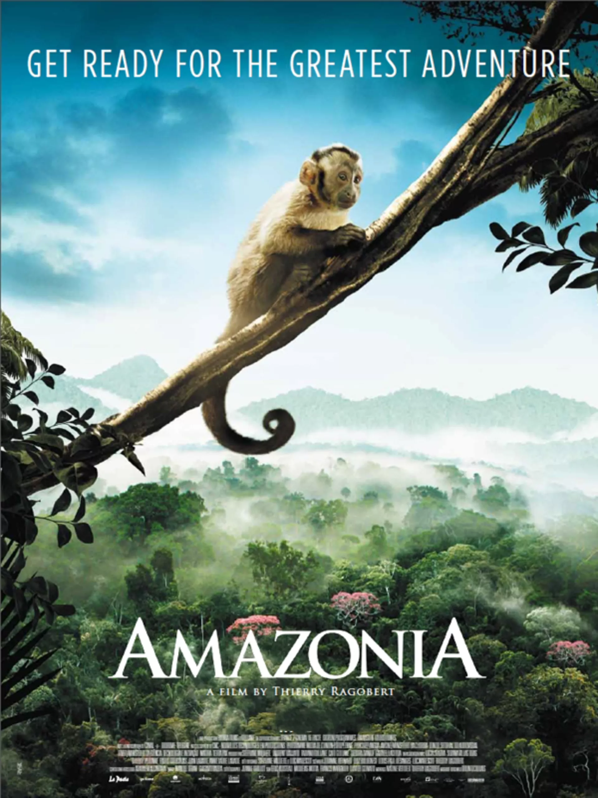 Amazonės džiunglės