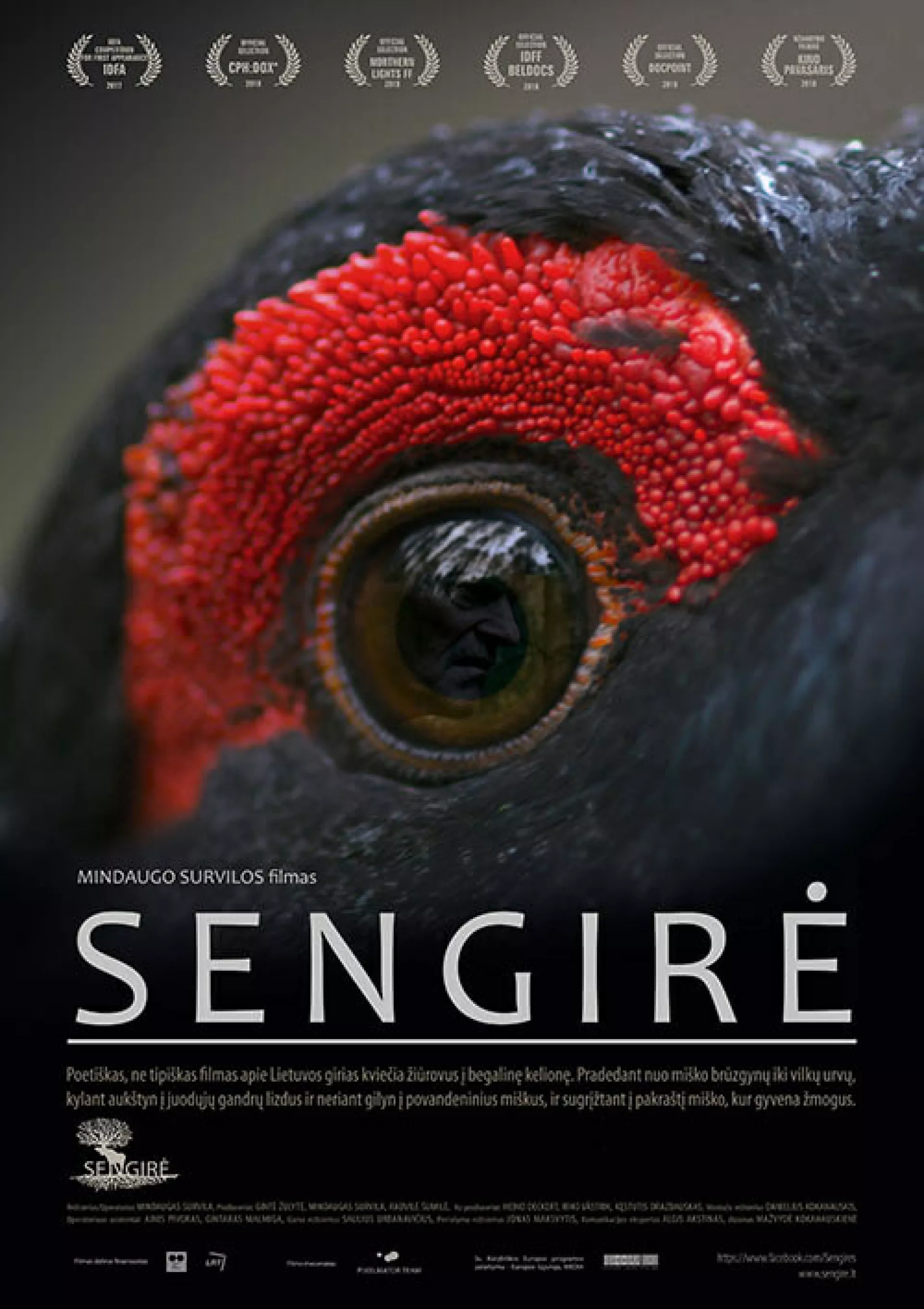 Sengirė