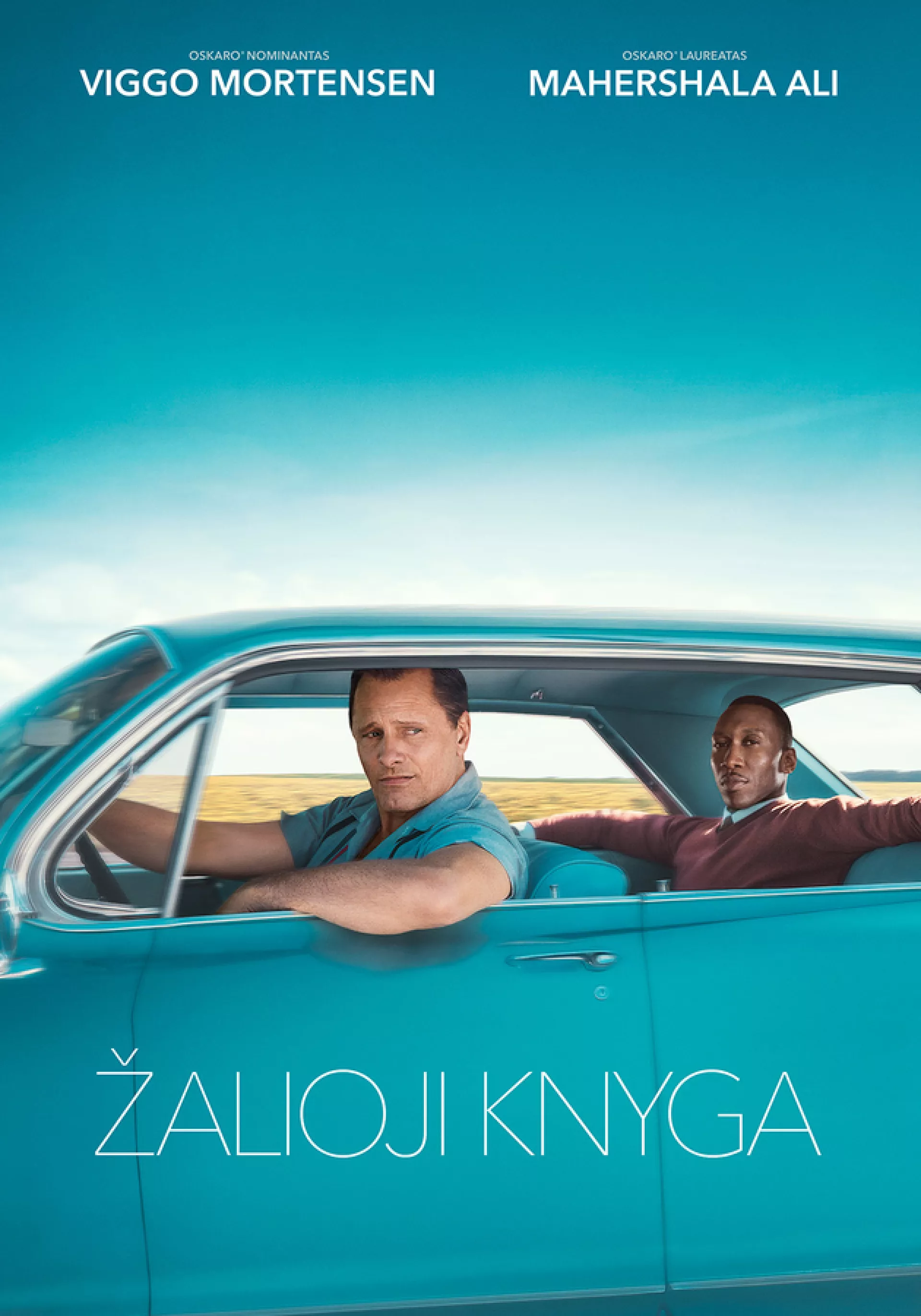 Žalioji knyga