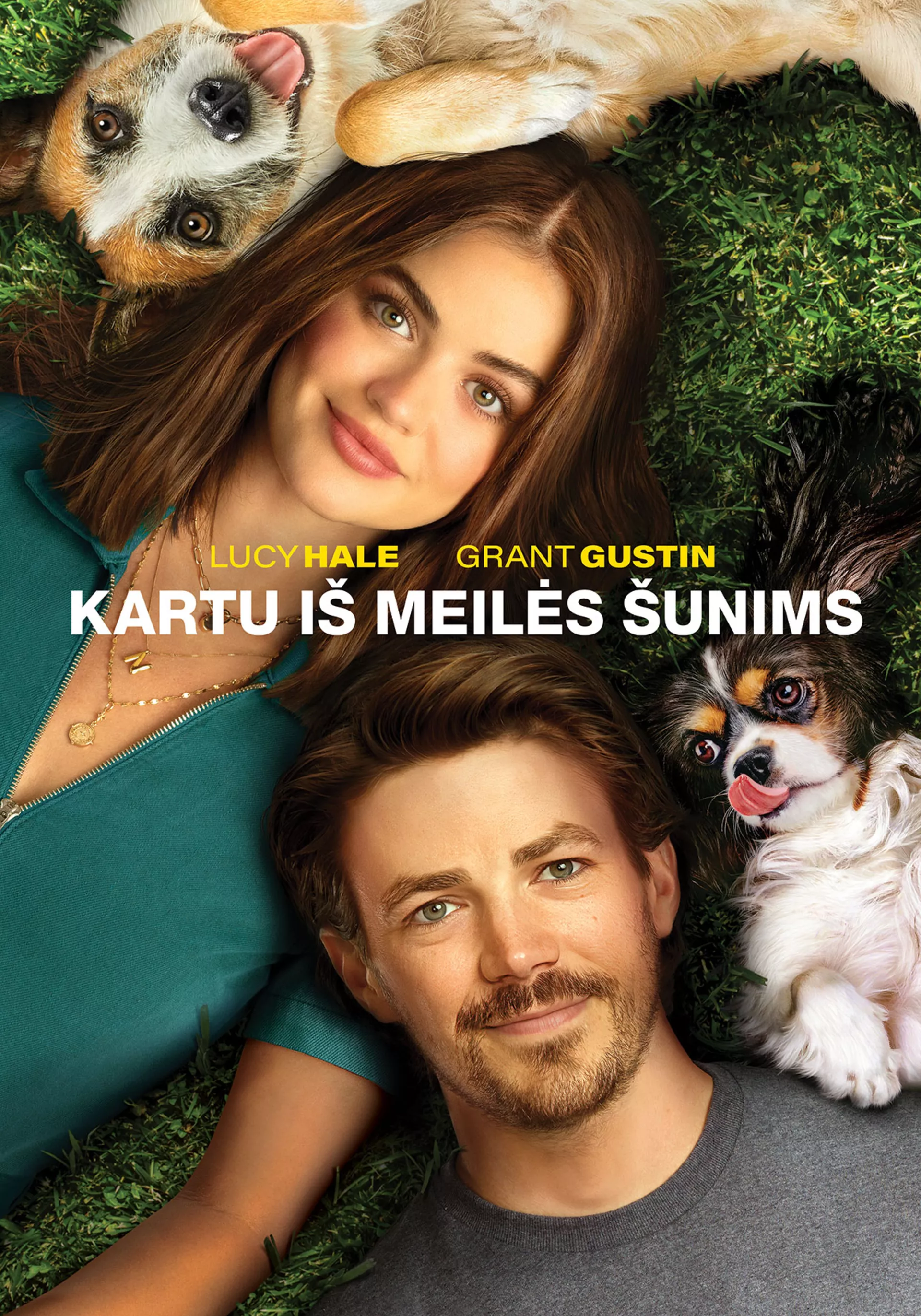 Kartu iš meilės šunims