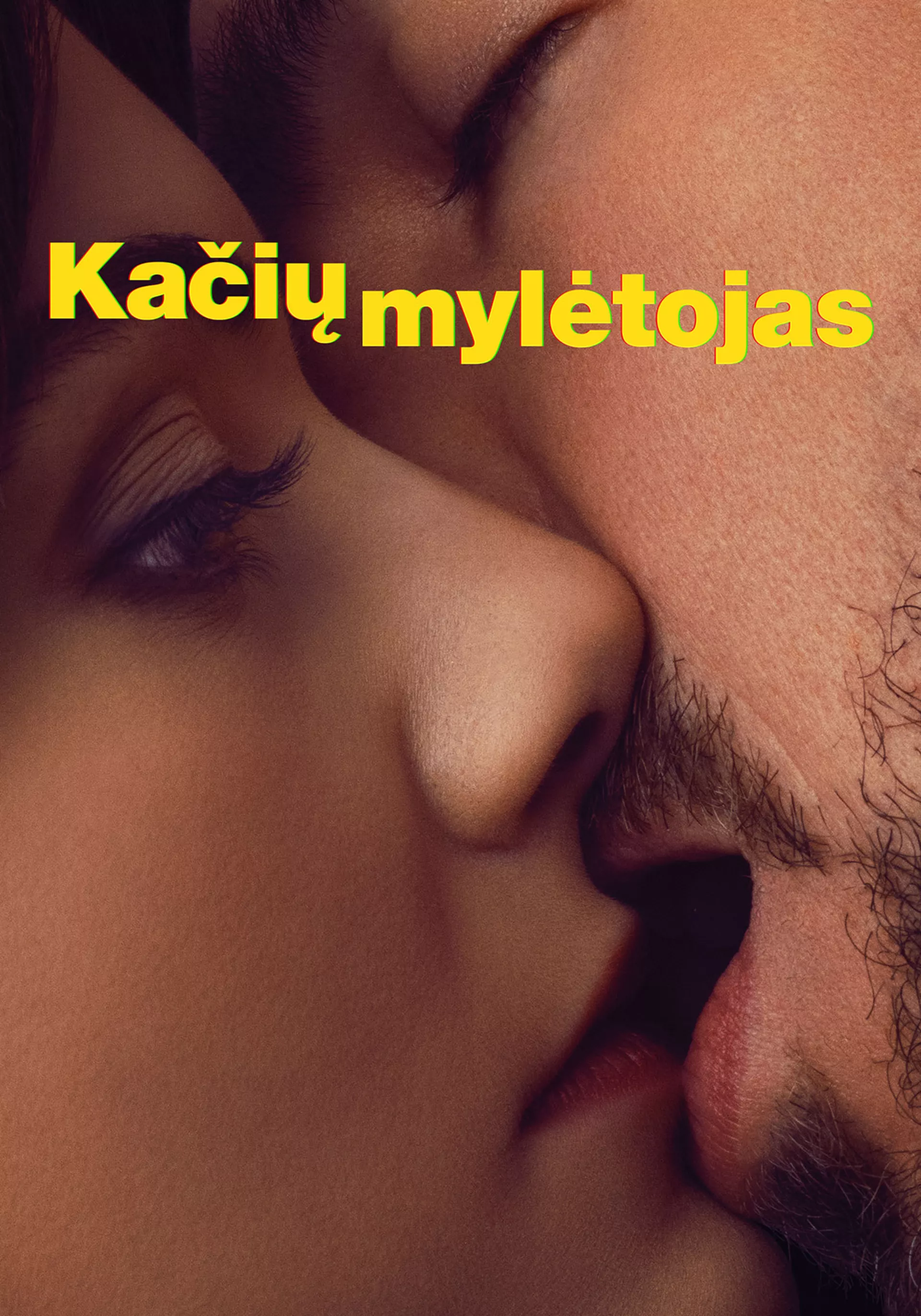 Kačių mylėtojas