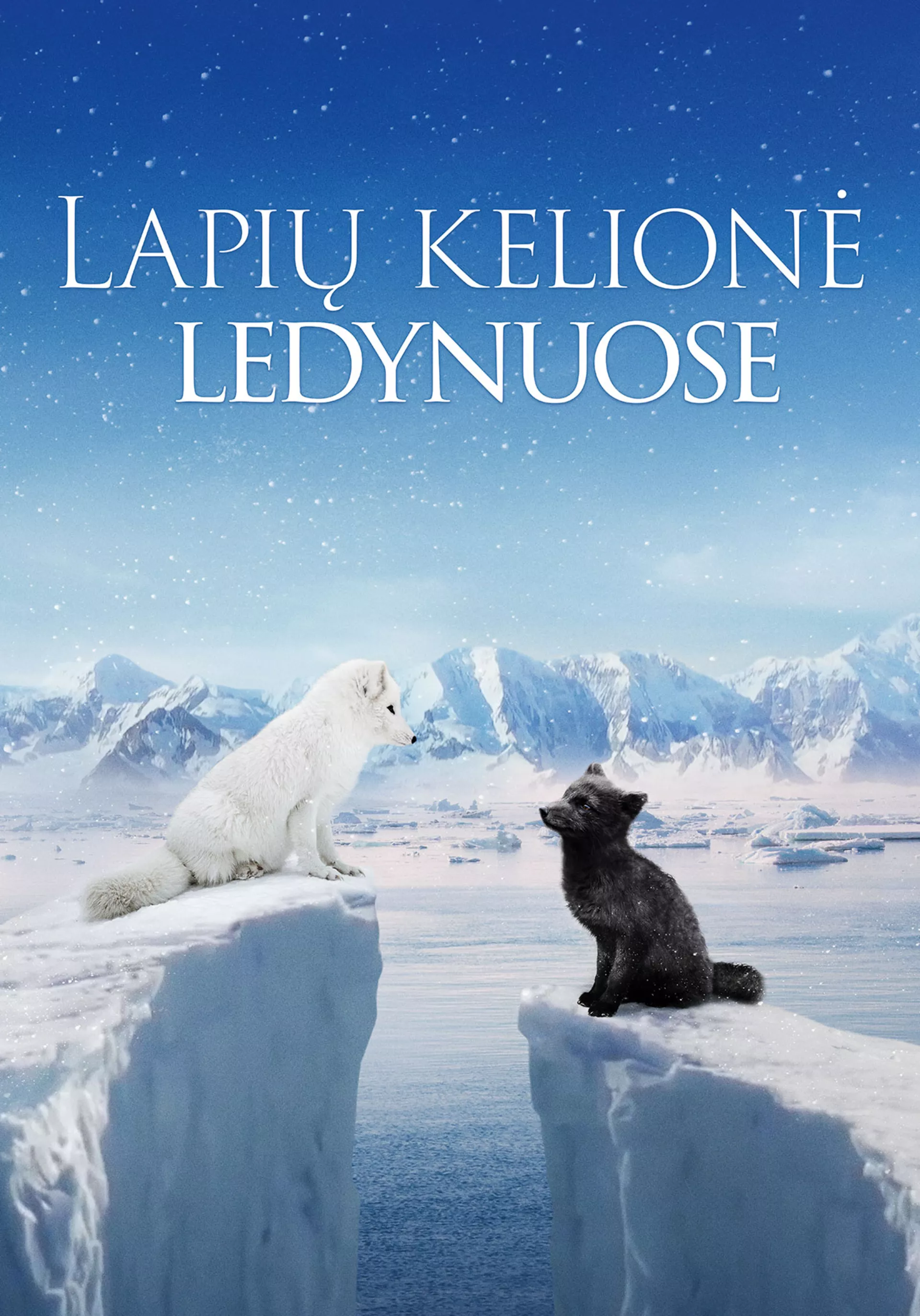 Lapių kelionė ledynuose