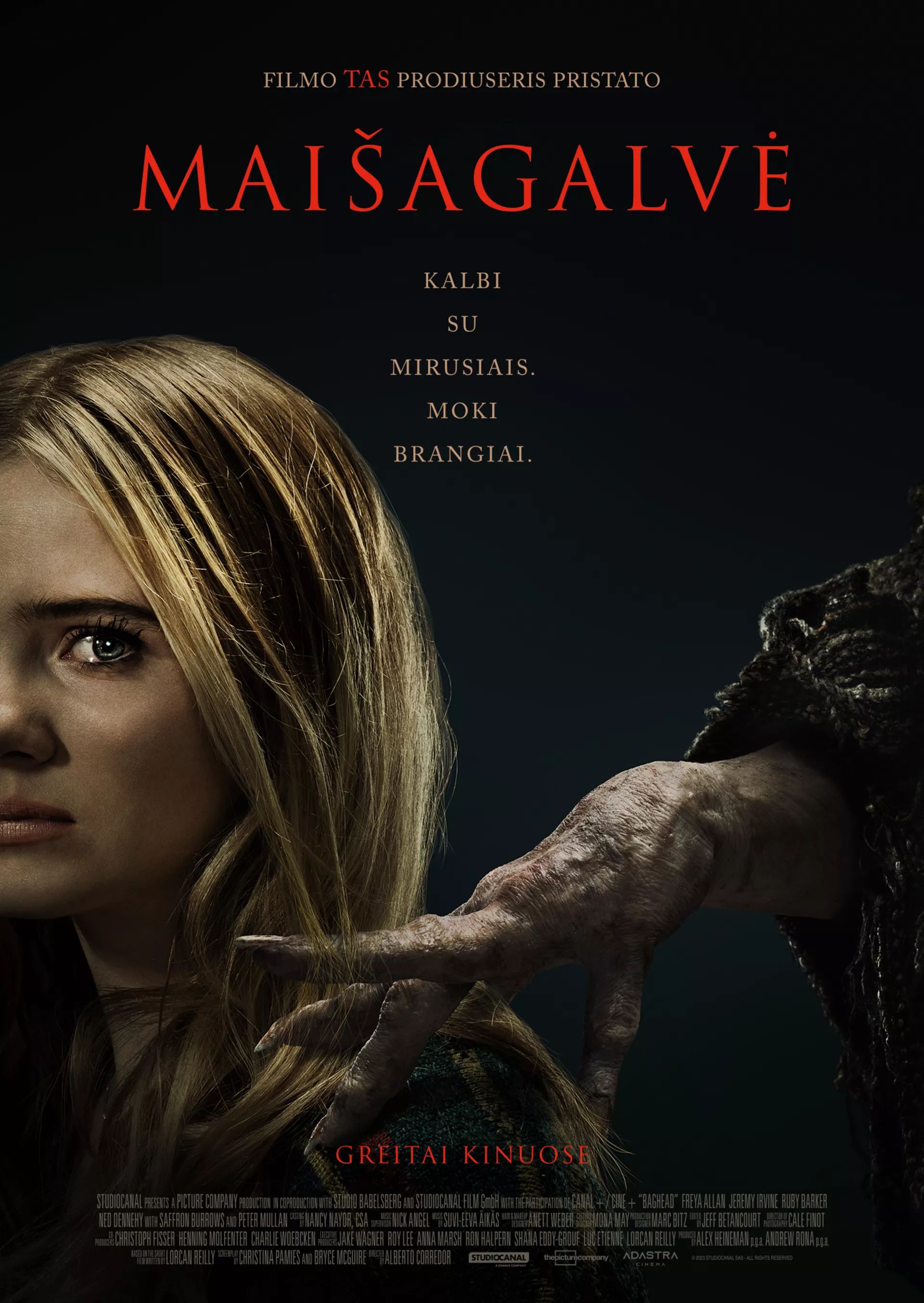 Maišagalvė
