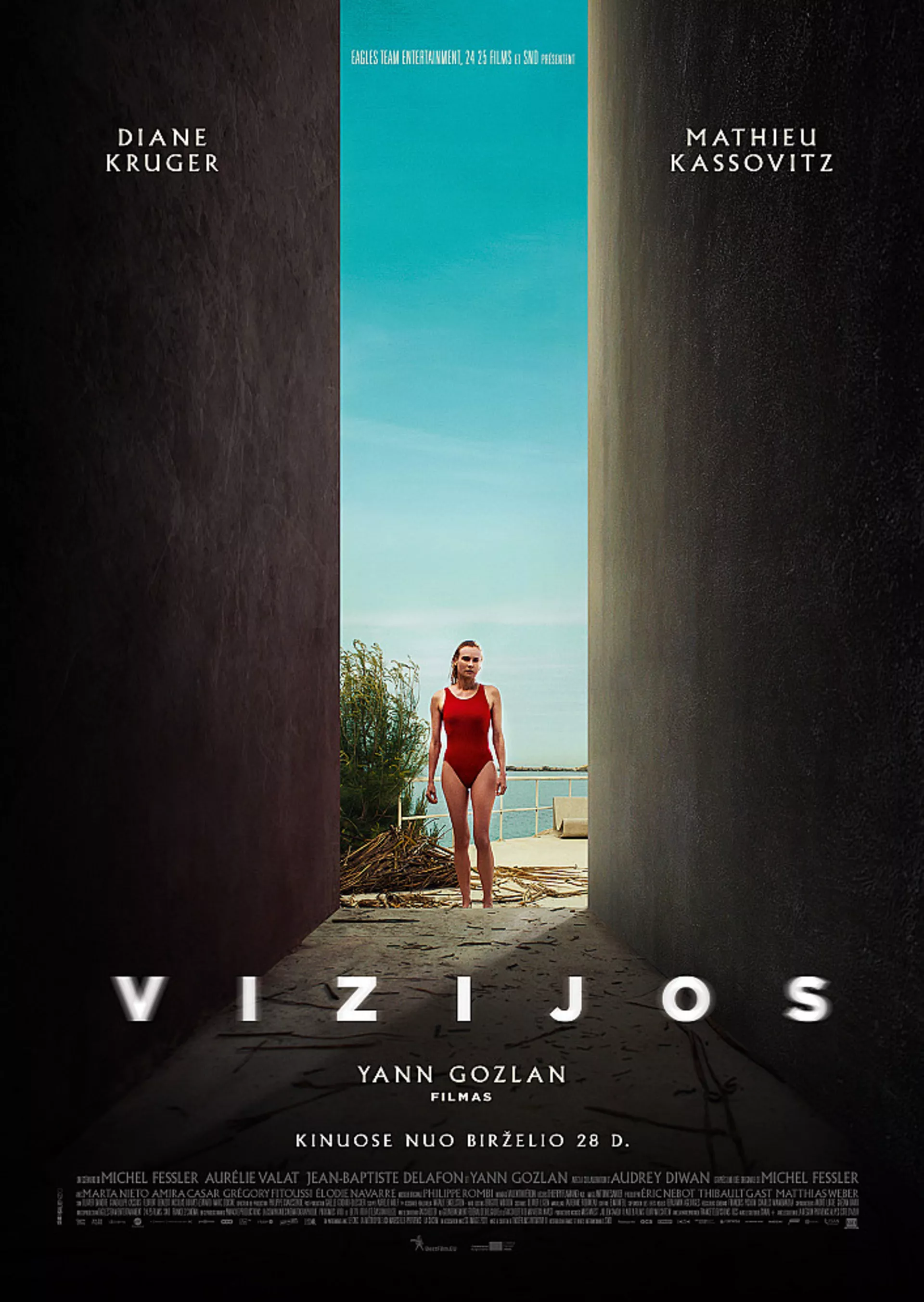 Vizijos