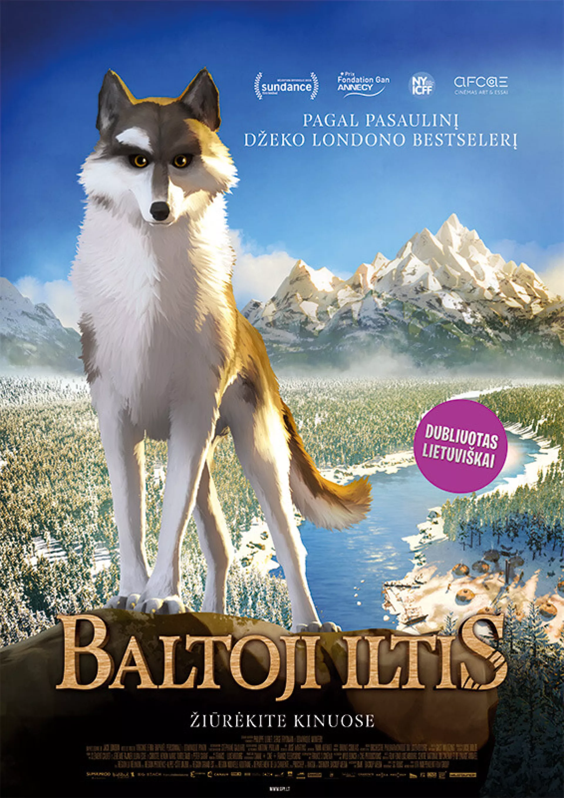 Baltoji Iltis