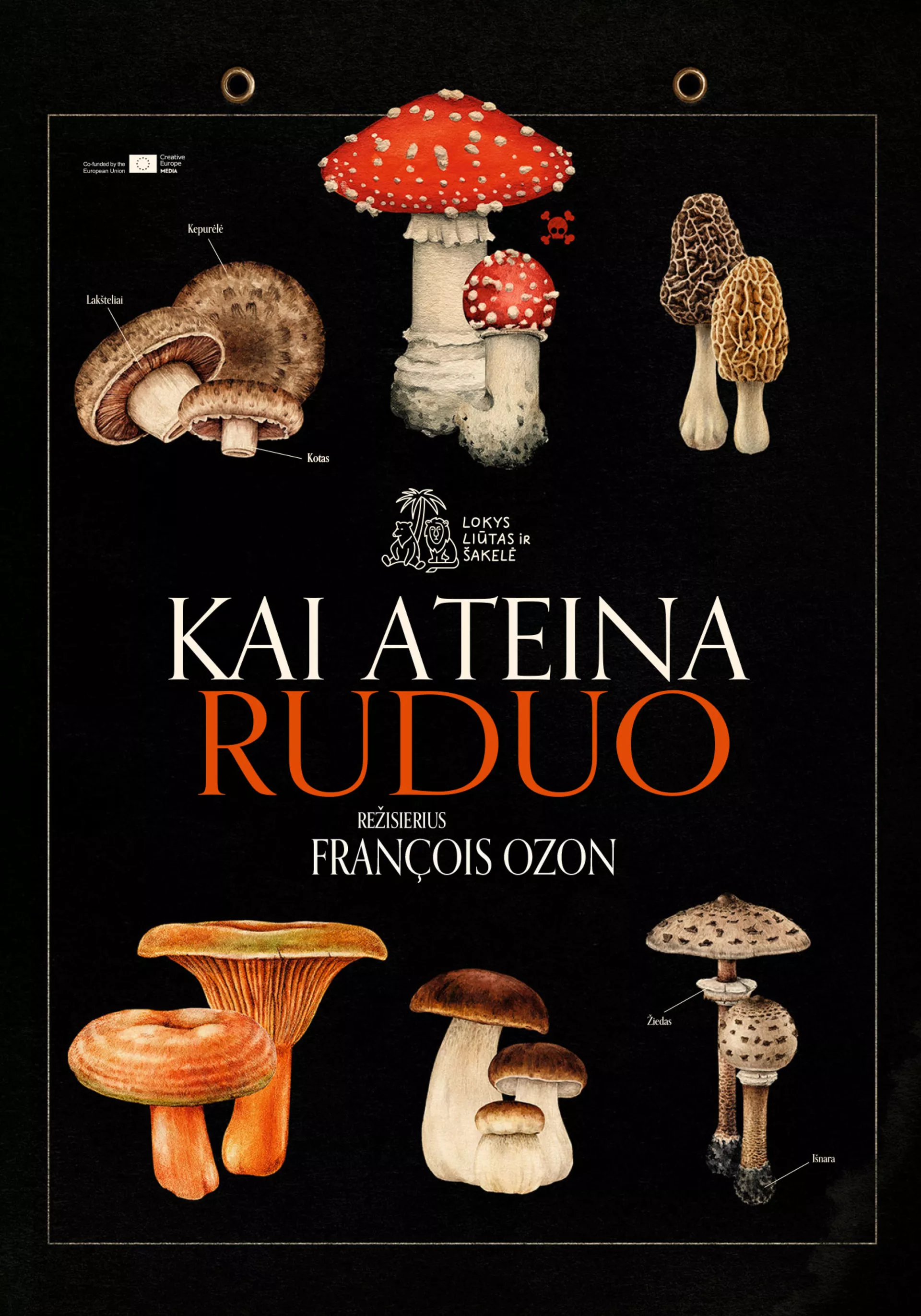 Kai ateina ruduo