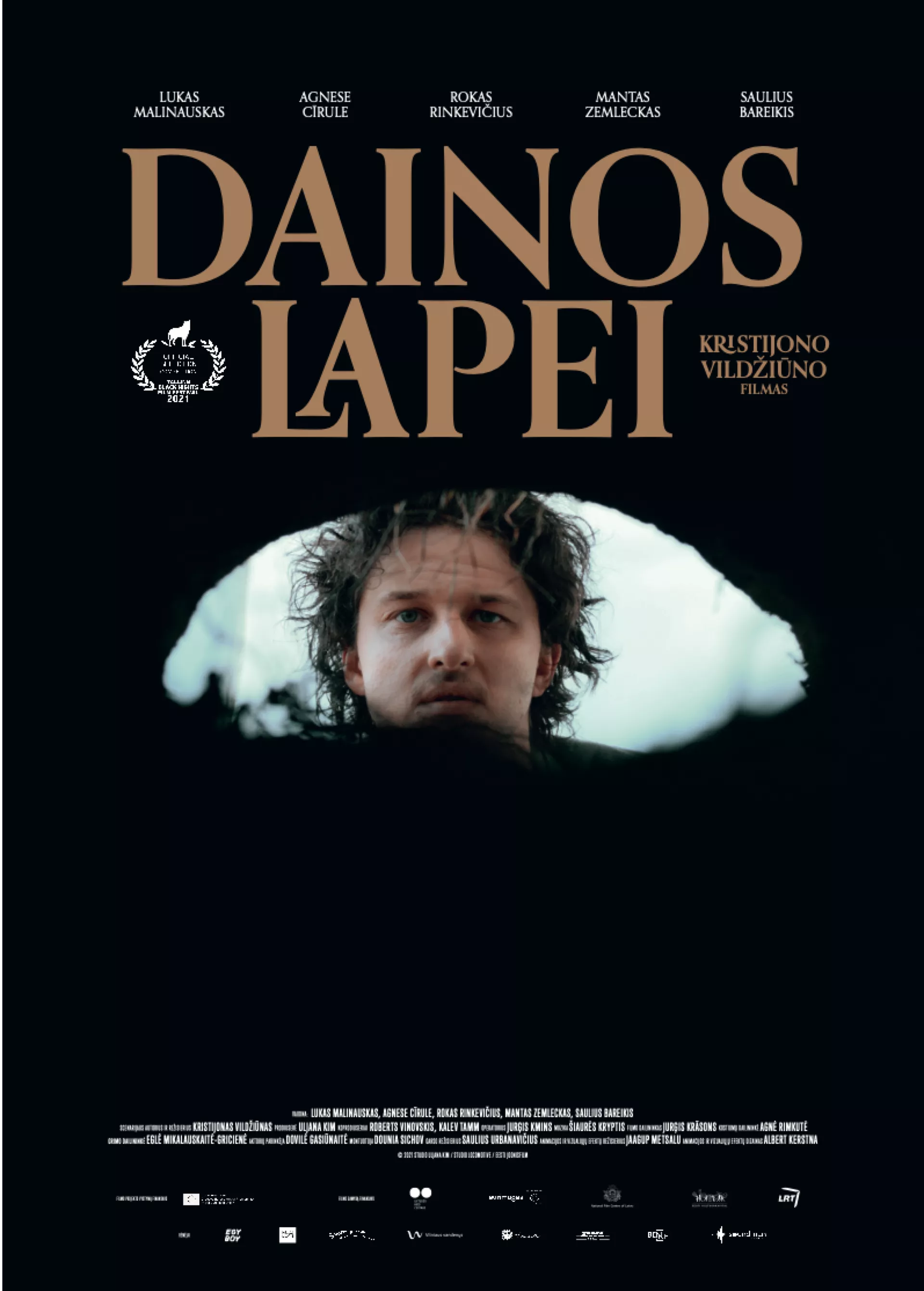 Dainos lapei