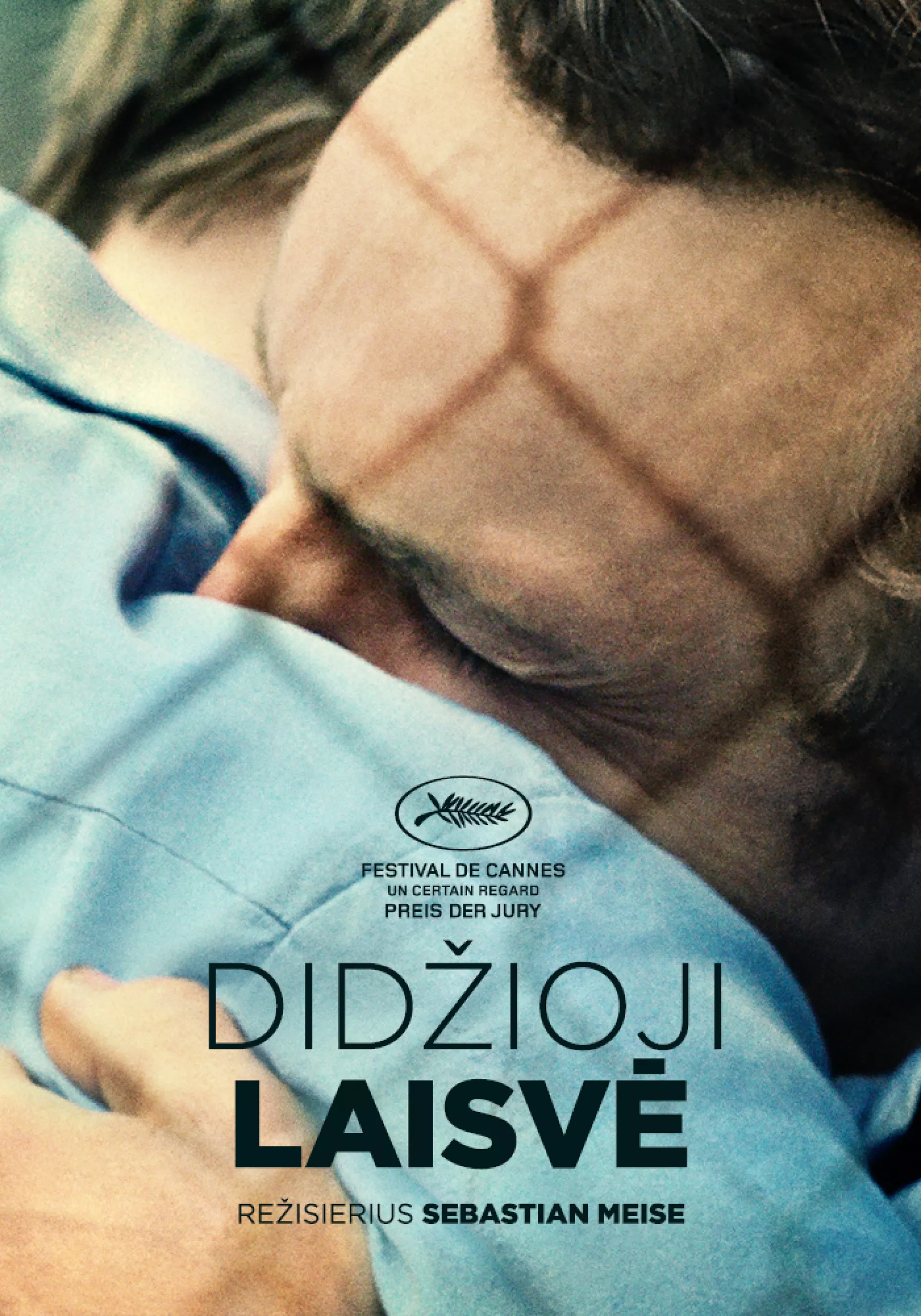 Didžioji laisvė