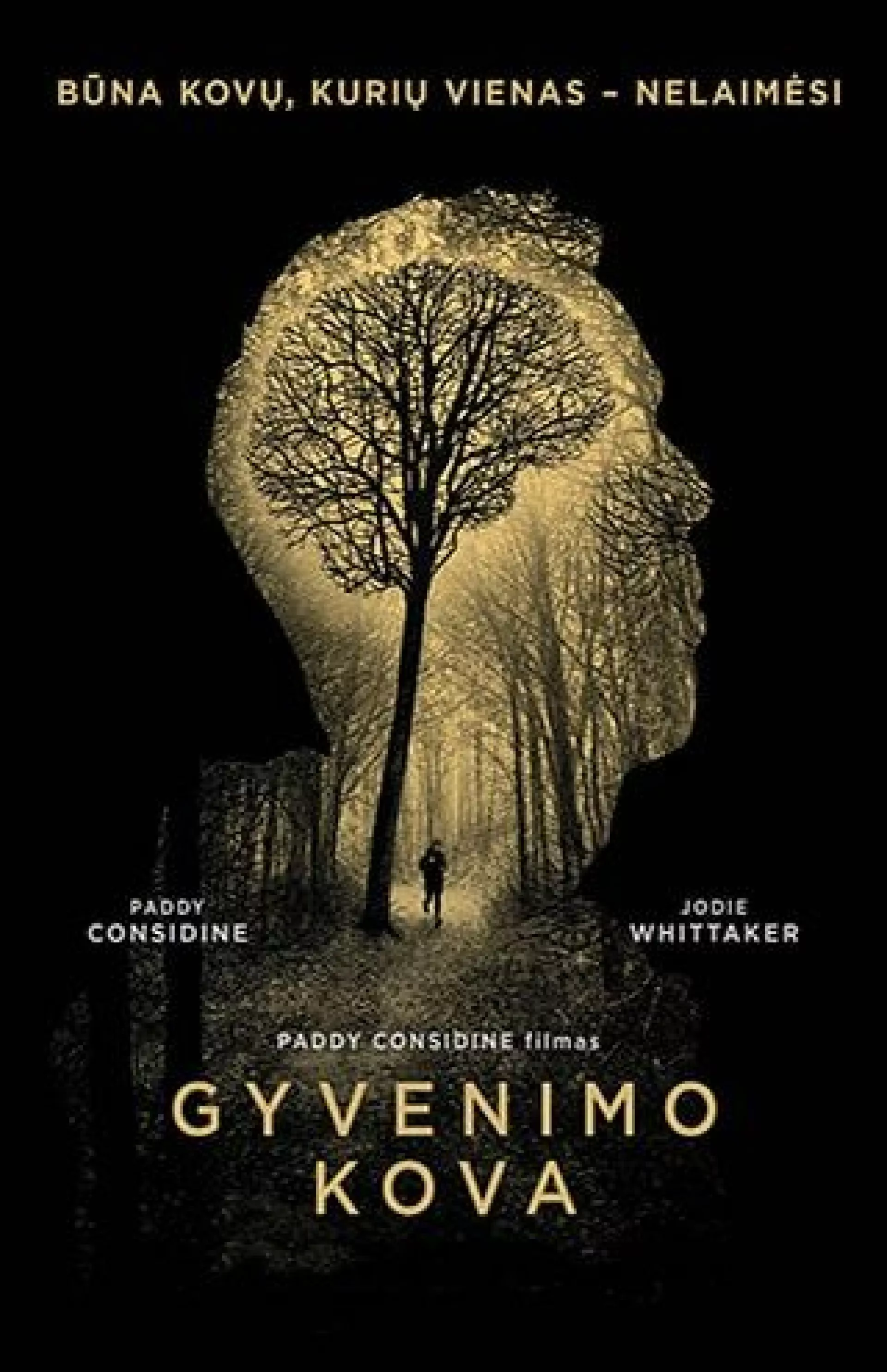 Gyvenimo kova