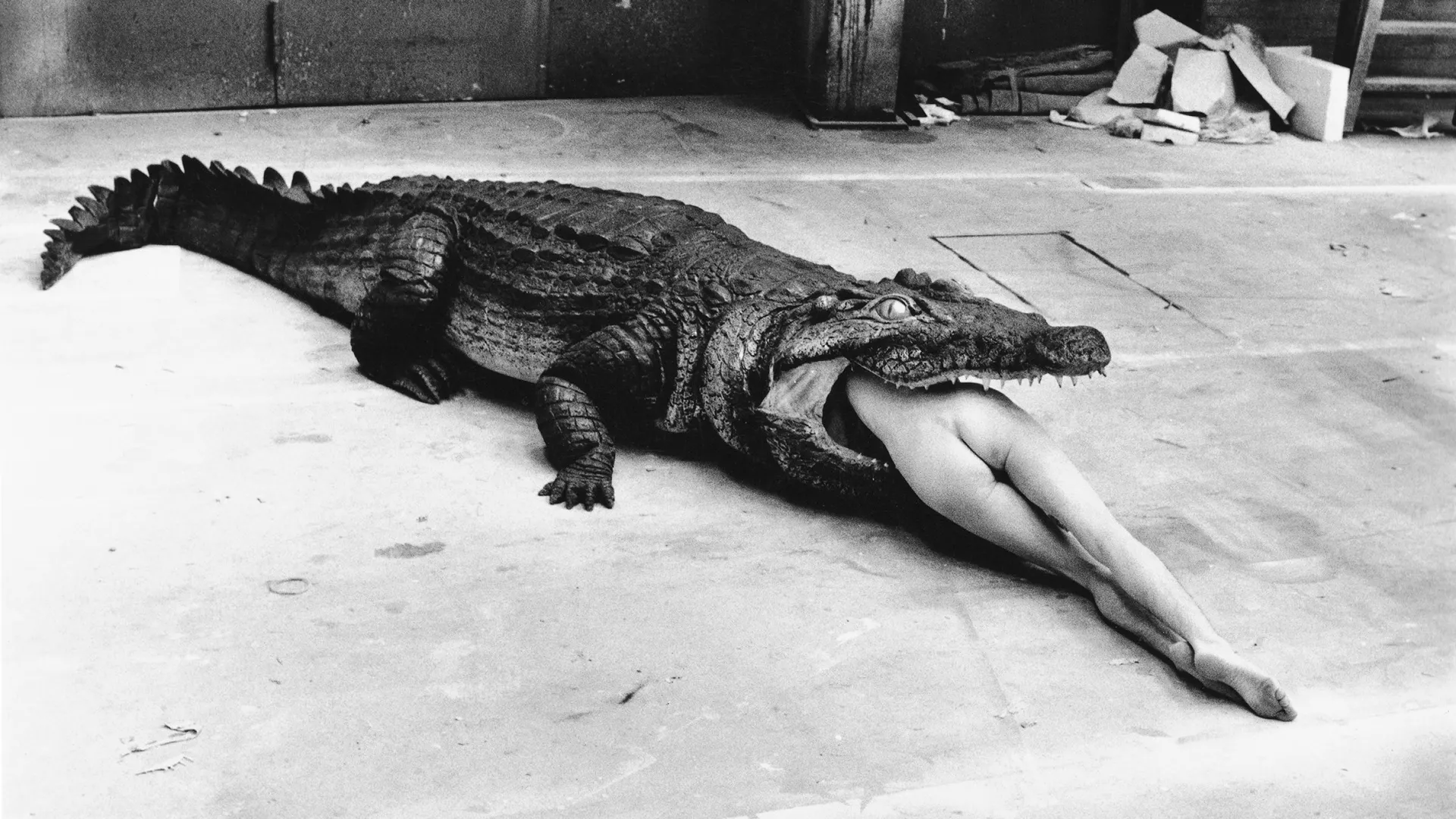 Helmut Newton: begėdiškas grožis
