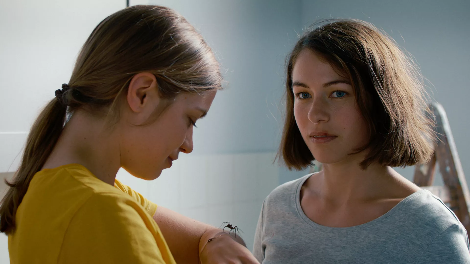 Das Mädchen und die Spinne