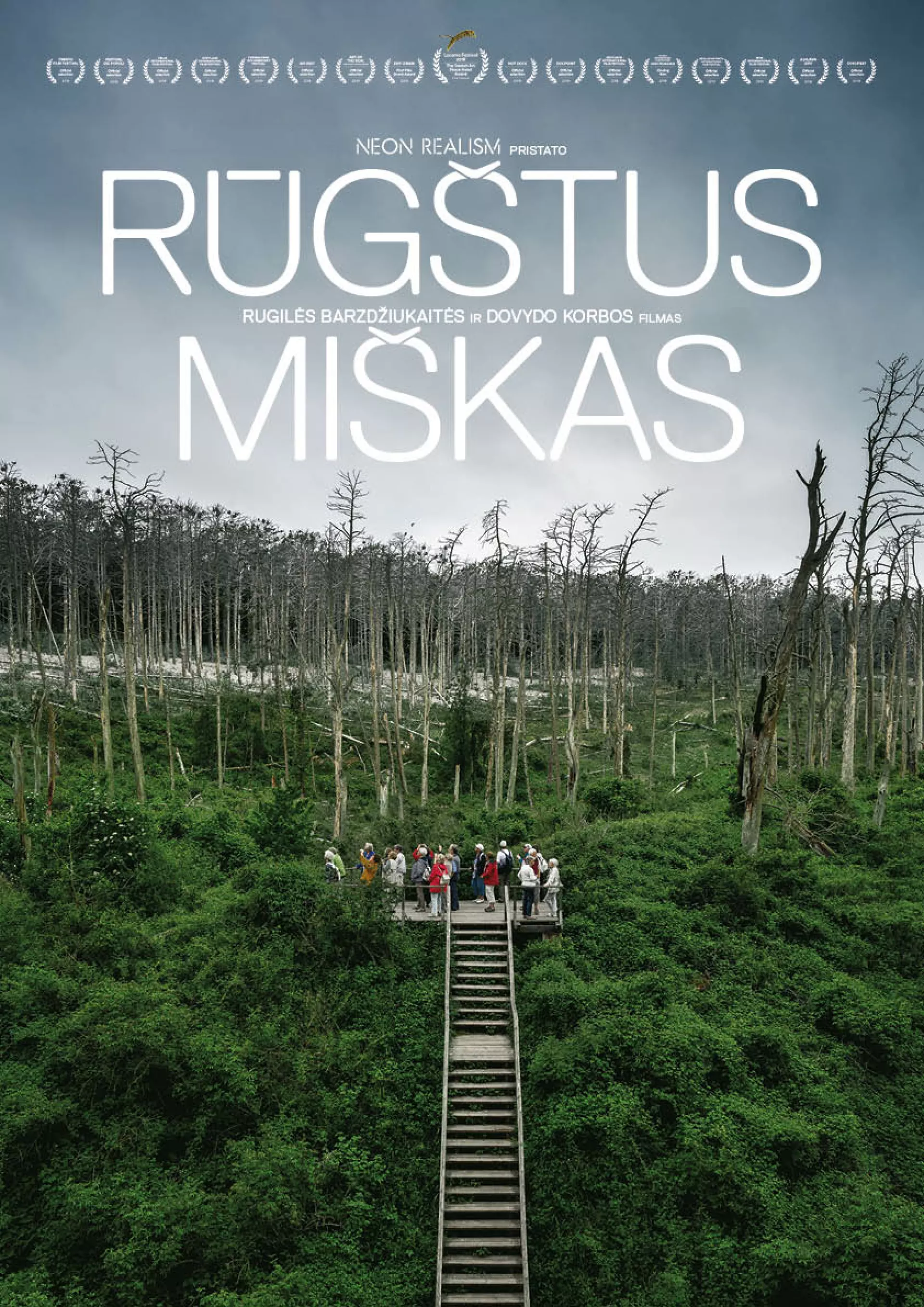 Rūgštus miškas