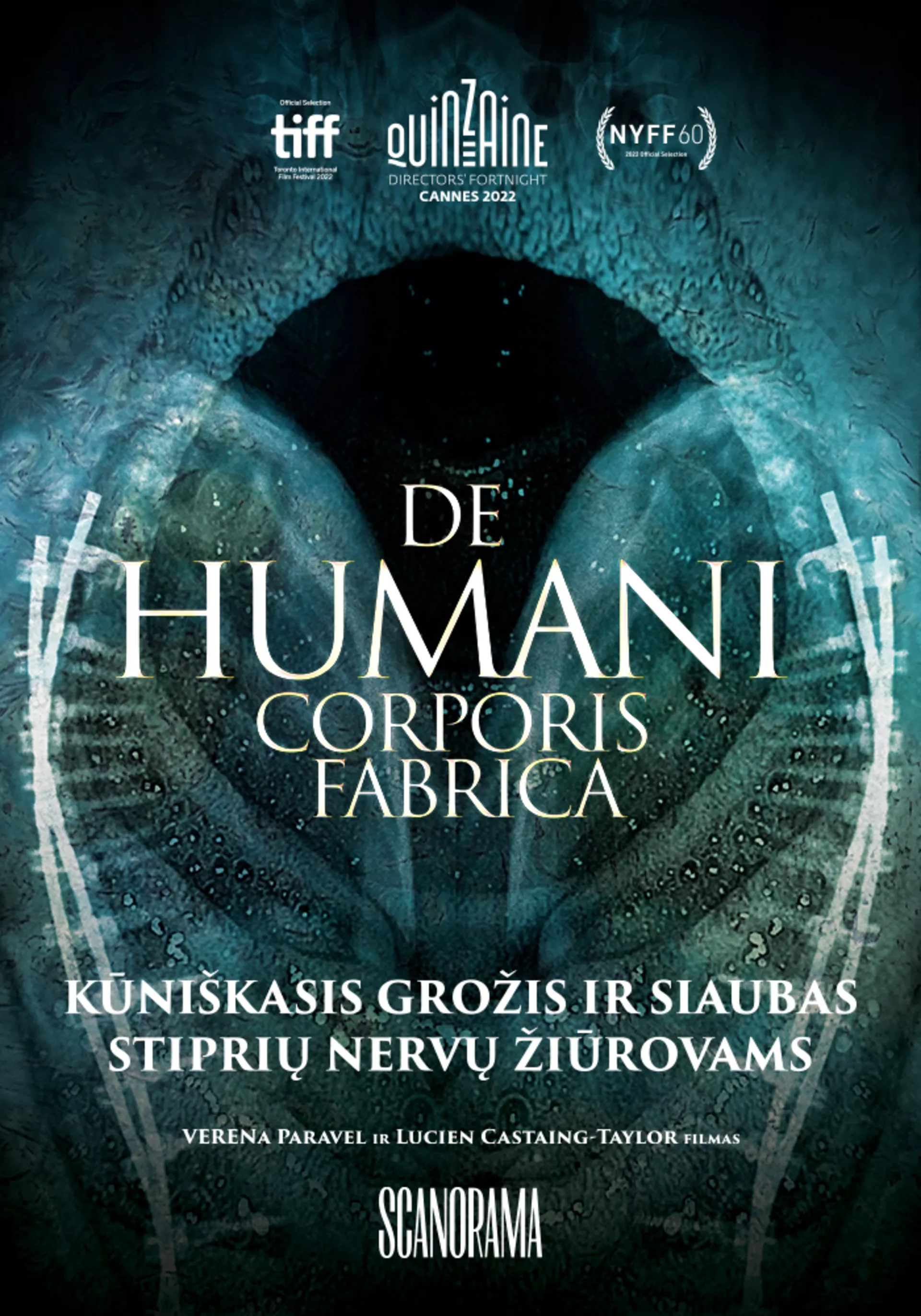 De Humani Corporis Fabrica