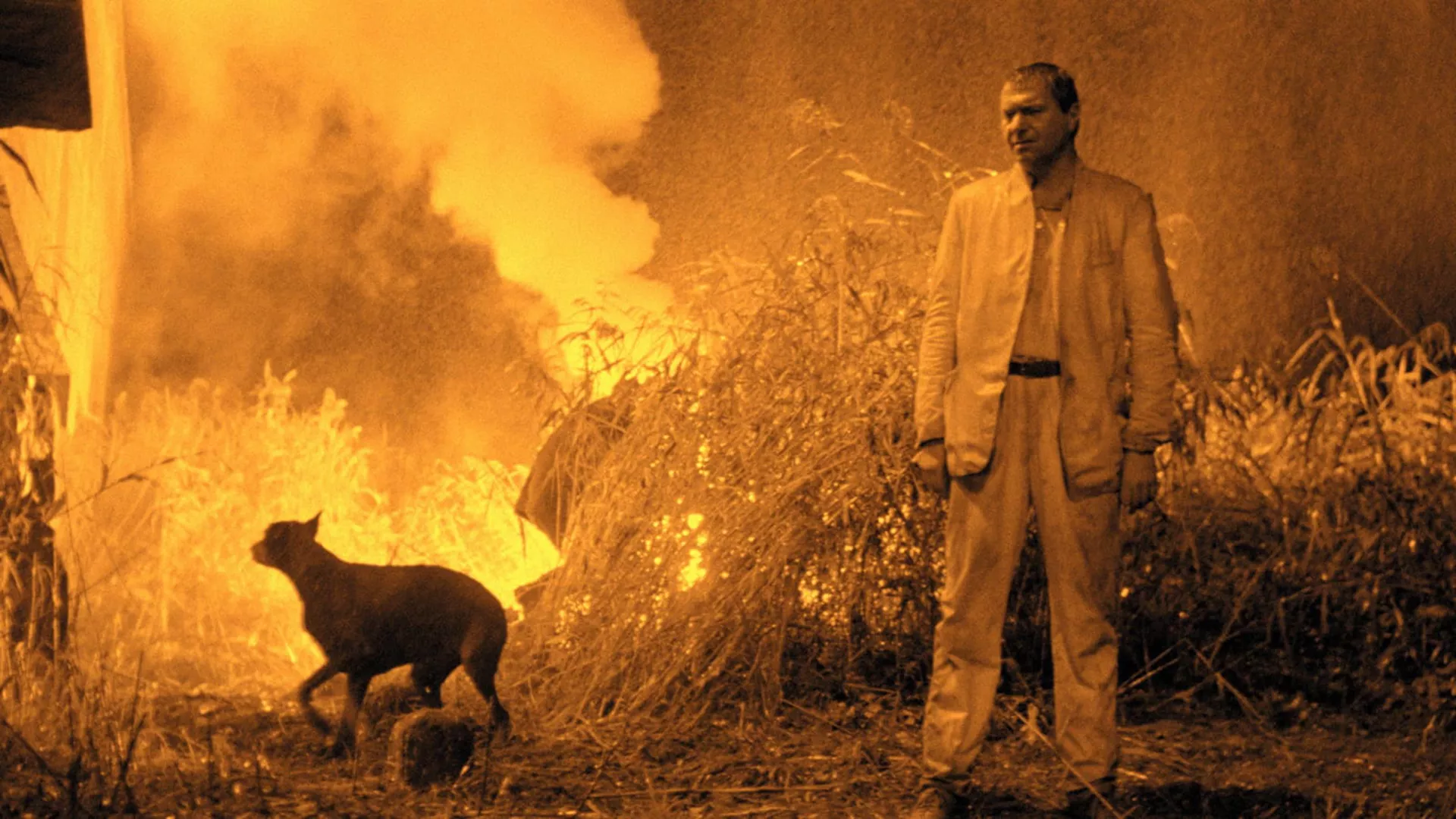 Nusikaltimo elementas