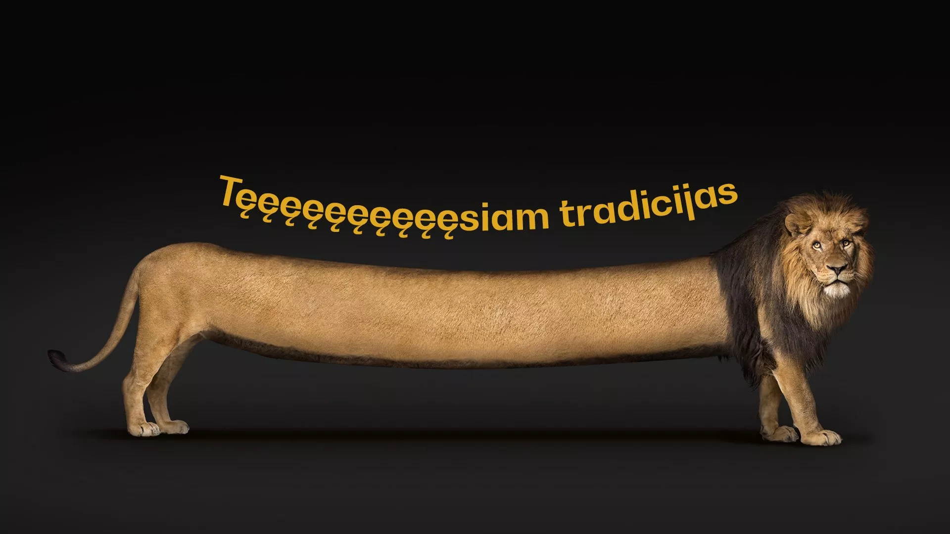 Geriausios KANŲ LIŪTŲ reklamos 2023