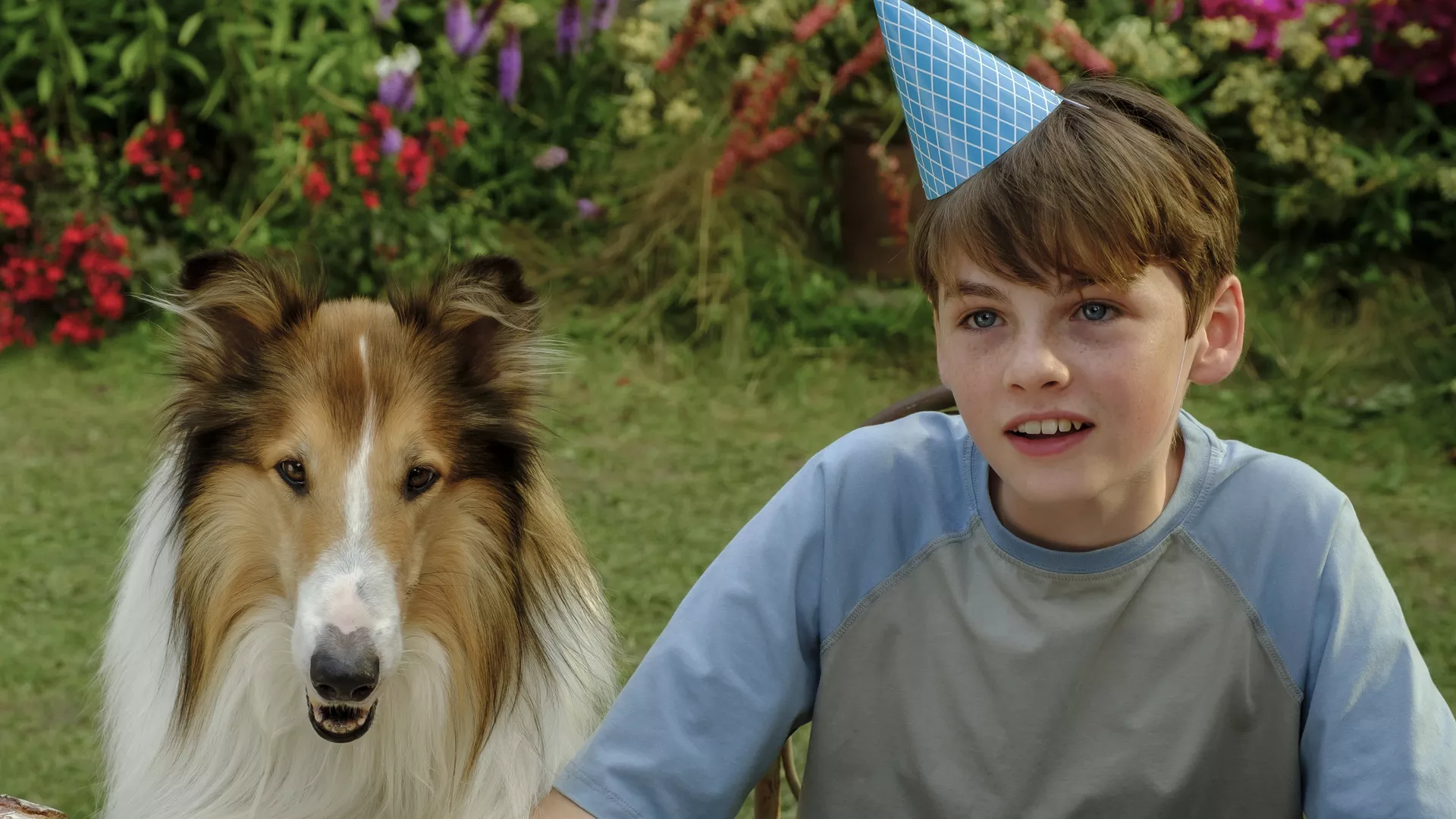 Lassie - A New Adventure