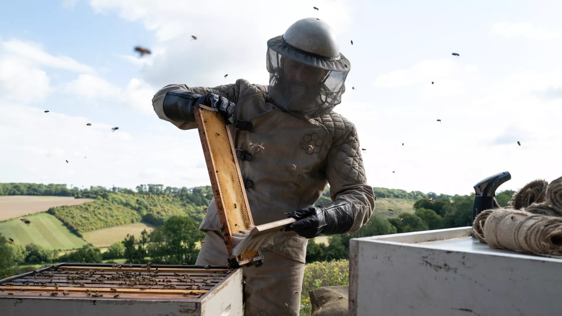The Beekeeper