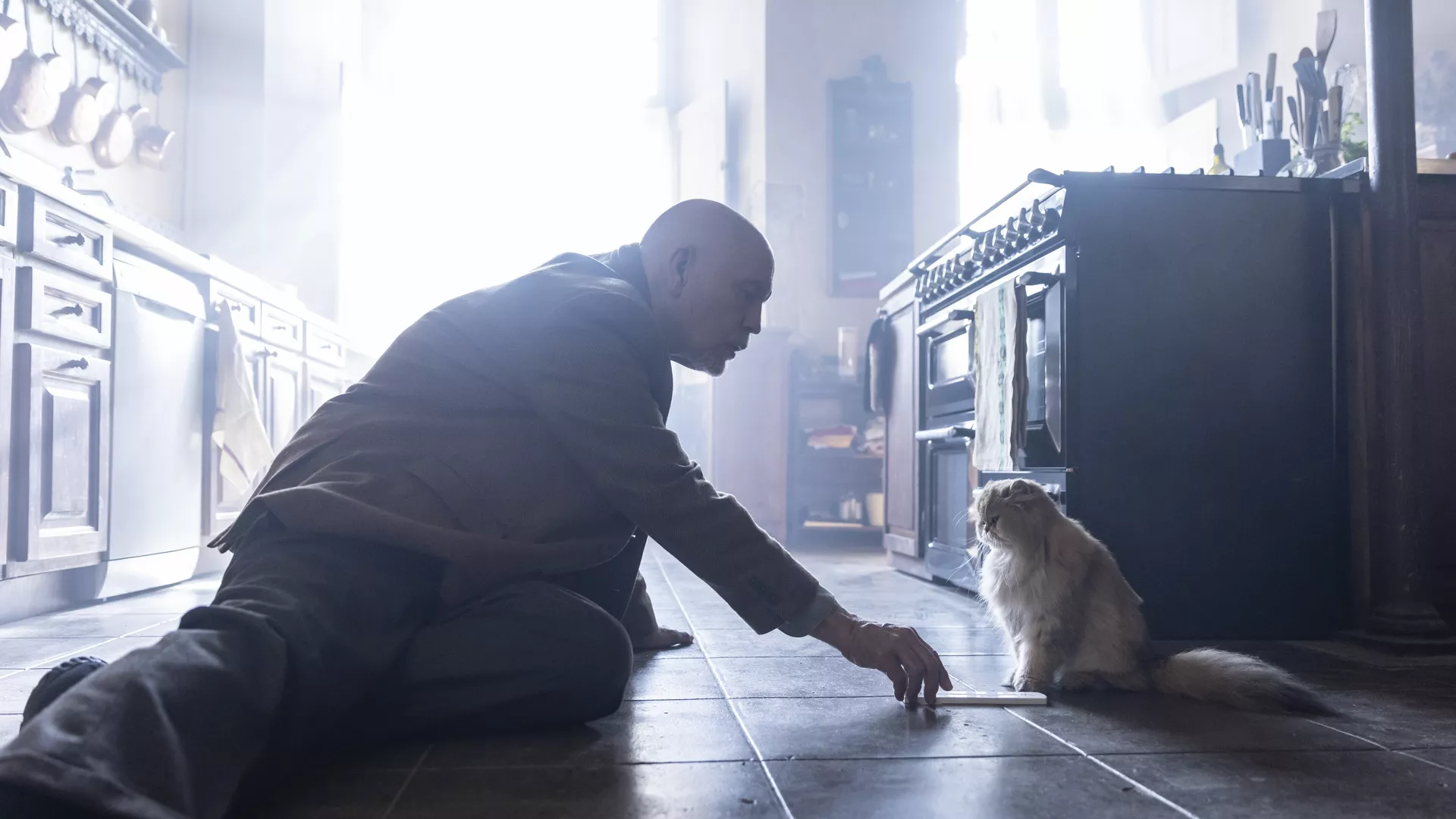 Mr. Blake At Your Service!