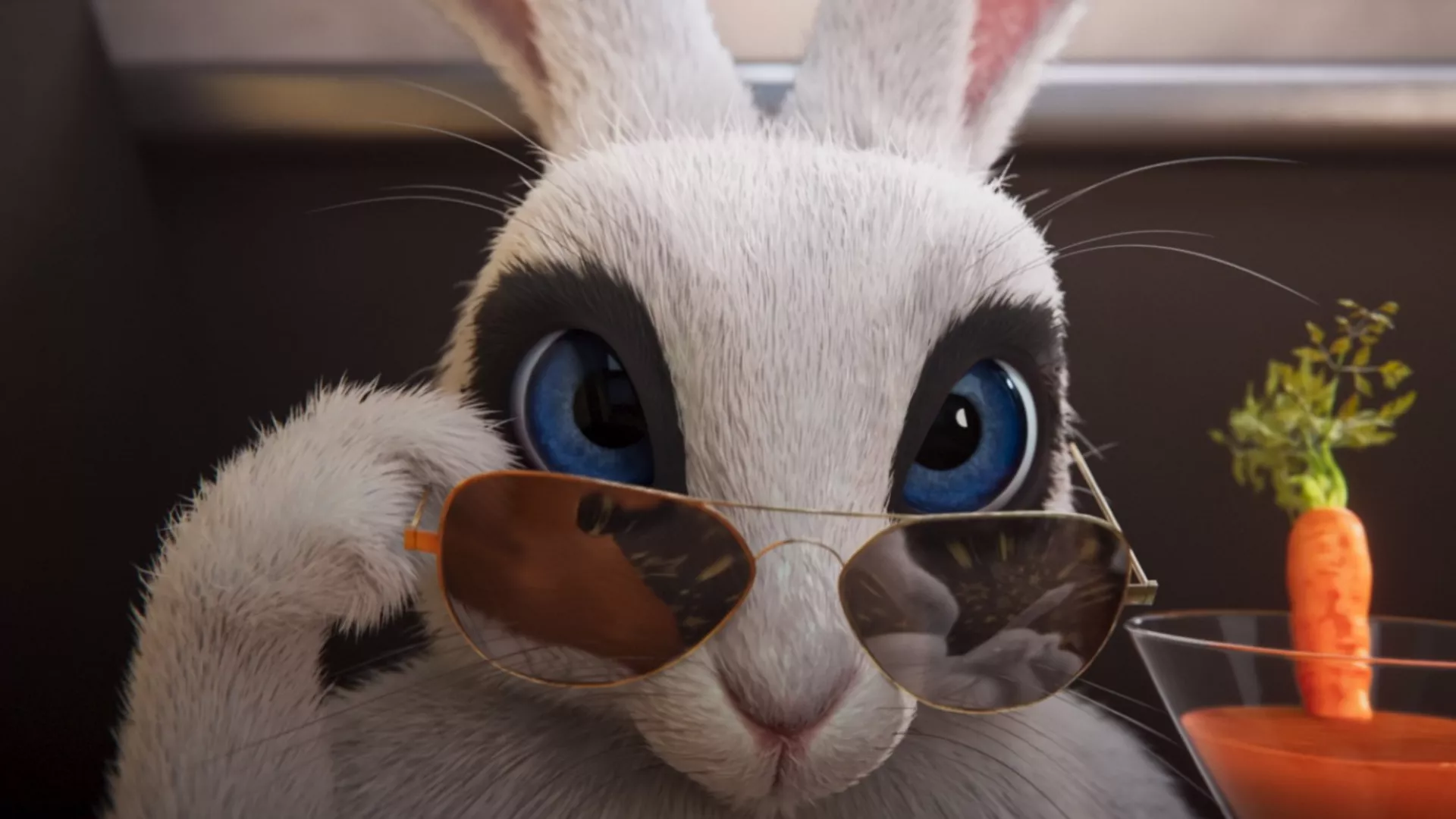 Gracie and Pedro: Pets to the Rescue