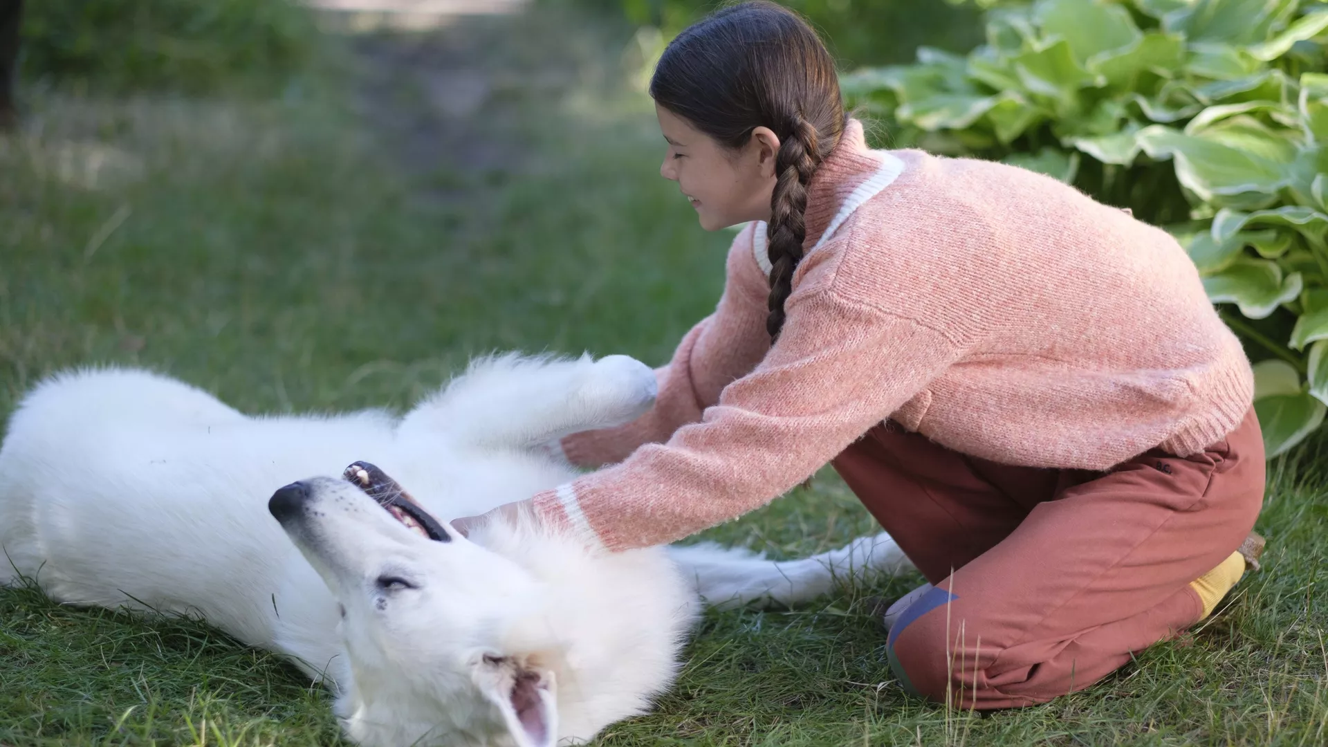 The Dog Who Travelled by Train