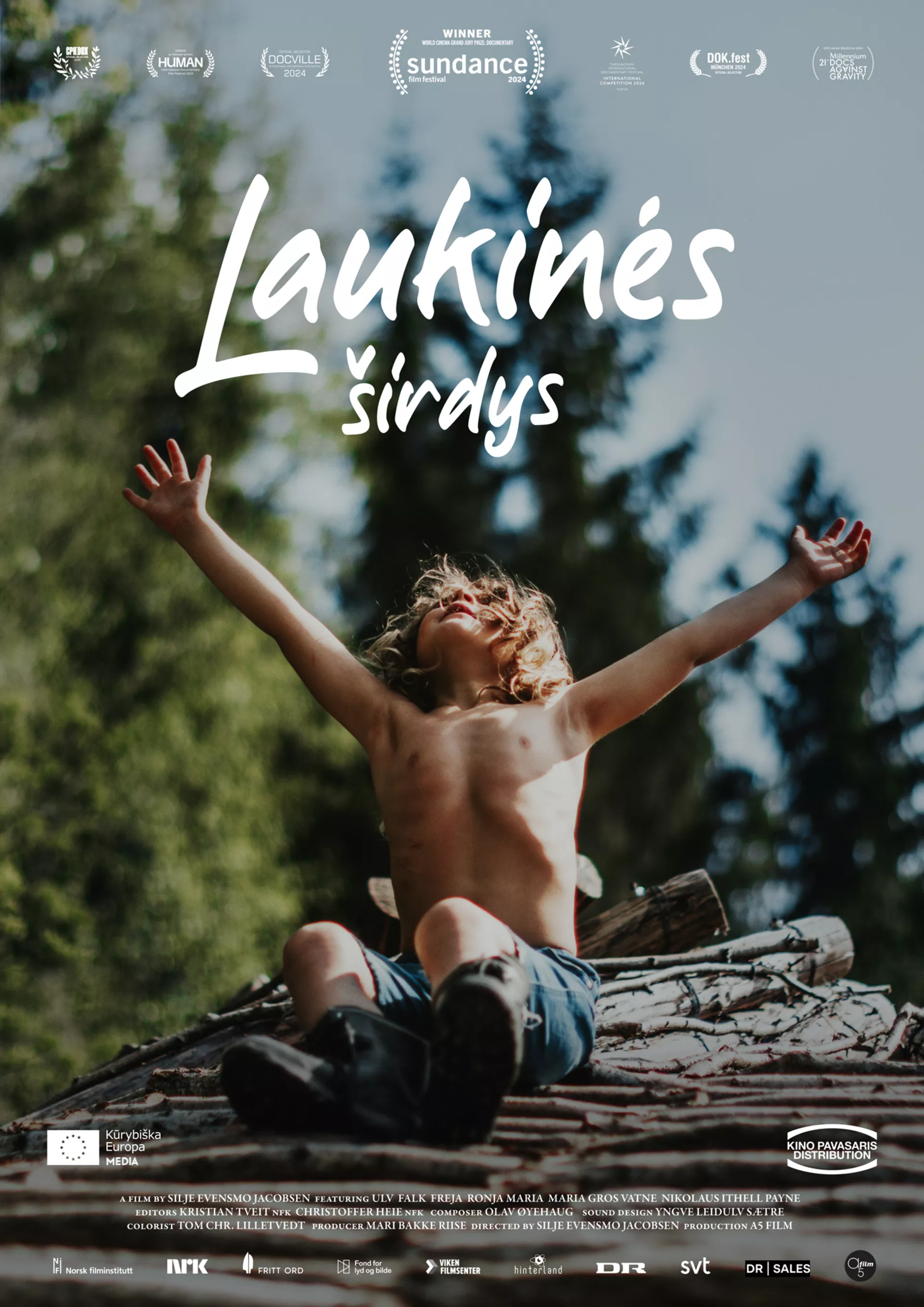 A New Kind of Wilderness