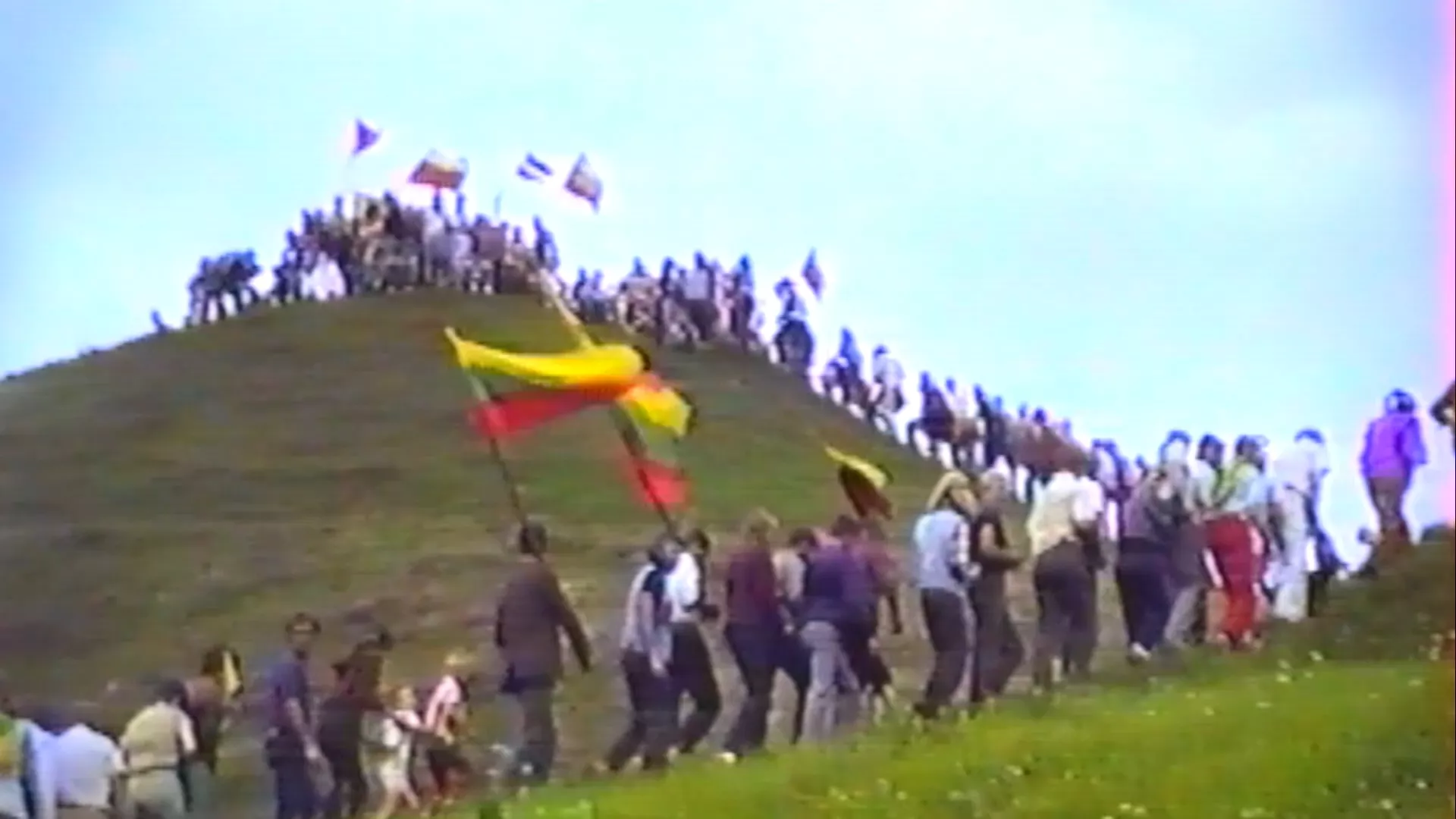 Žalieji muškietininkai