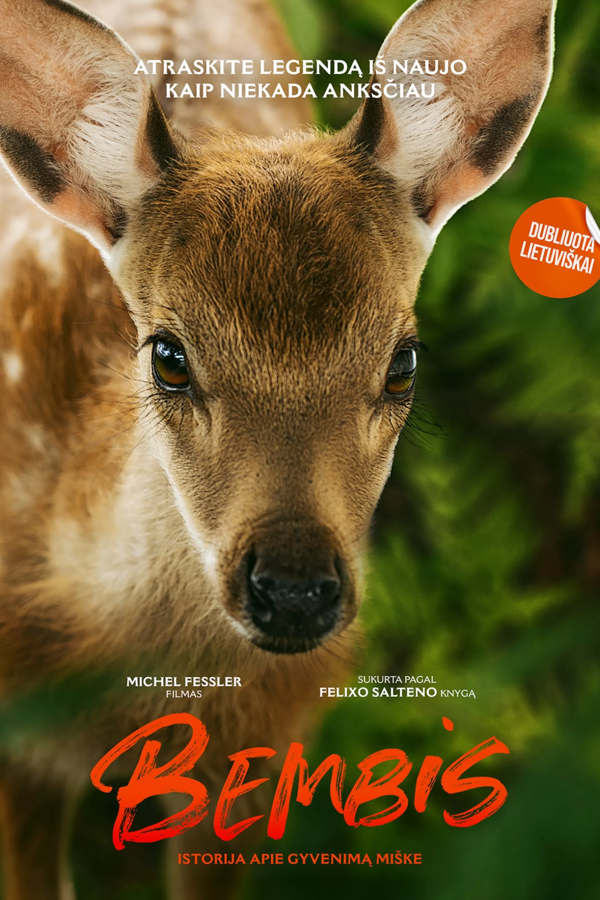 Bambi, l'histoire d'une vie dans les bois