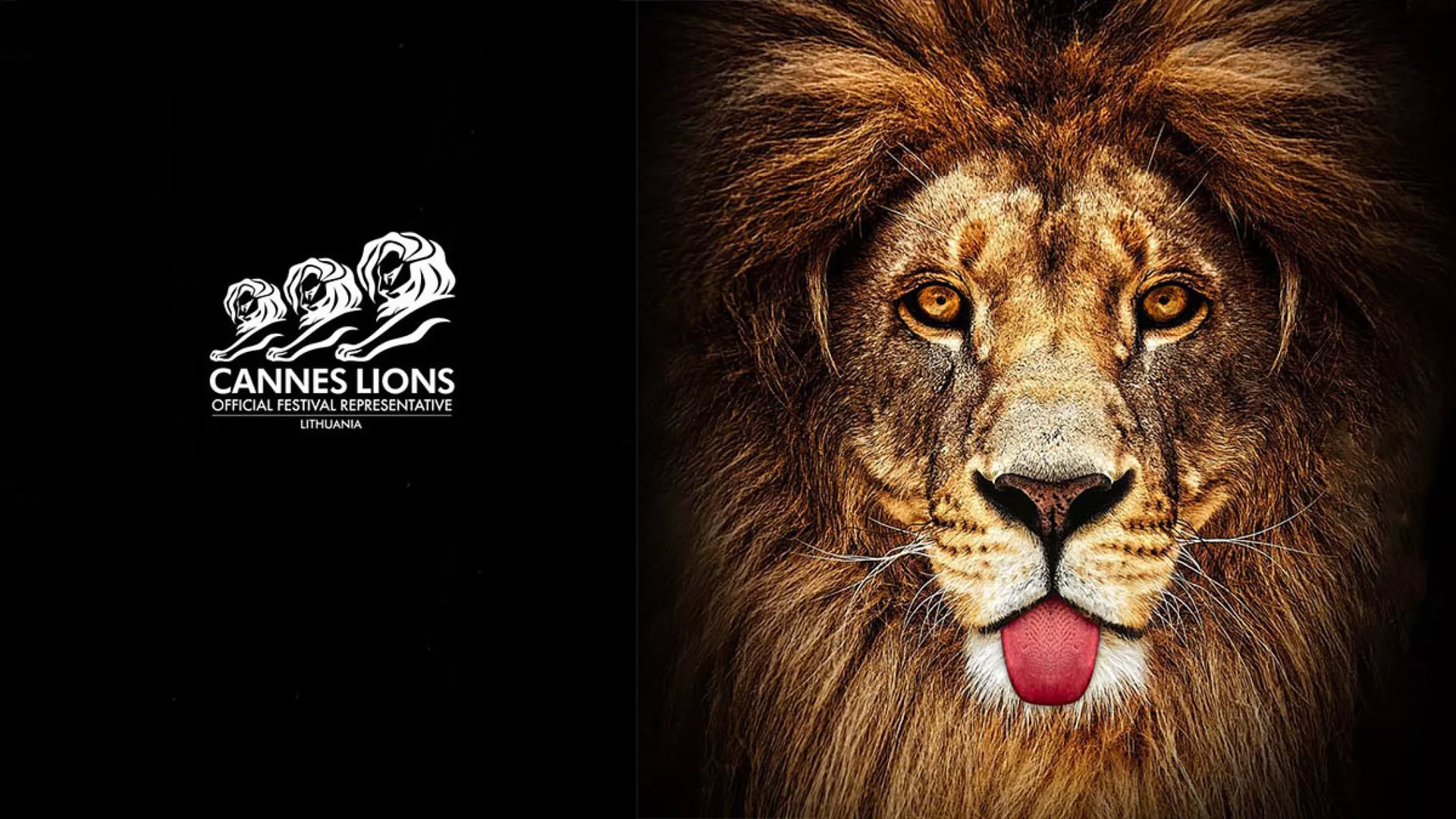 Geriausios KANŲ LIŪTŲ reklamos 2018