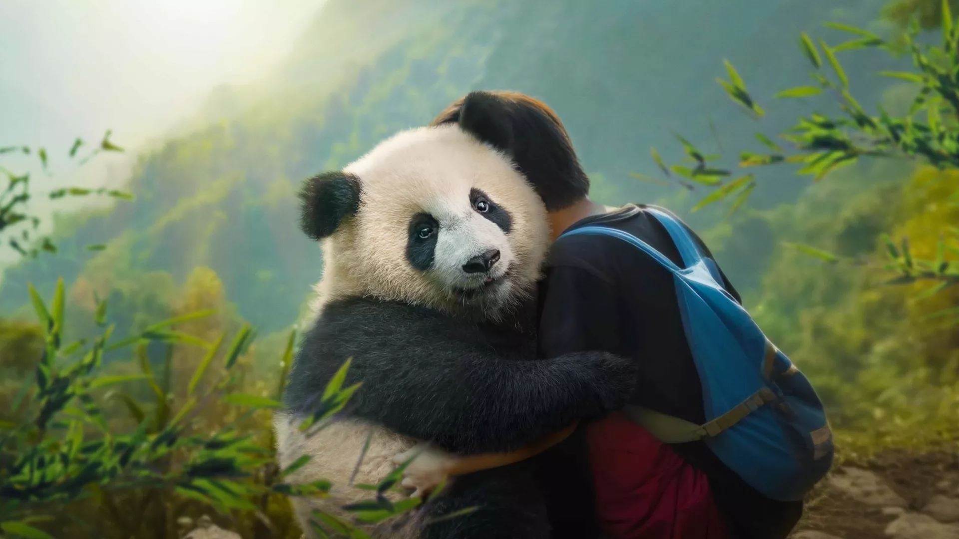Panda vardu Mėnulis