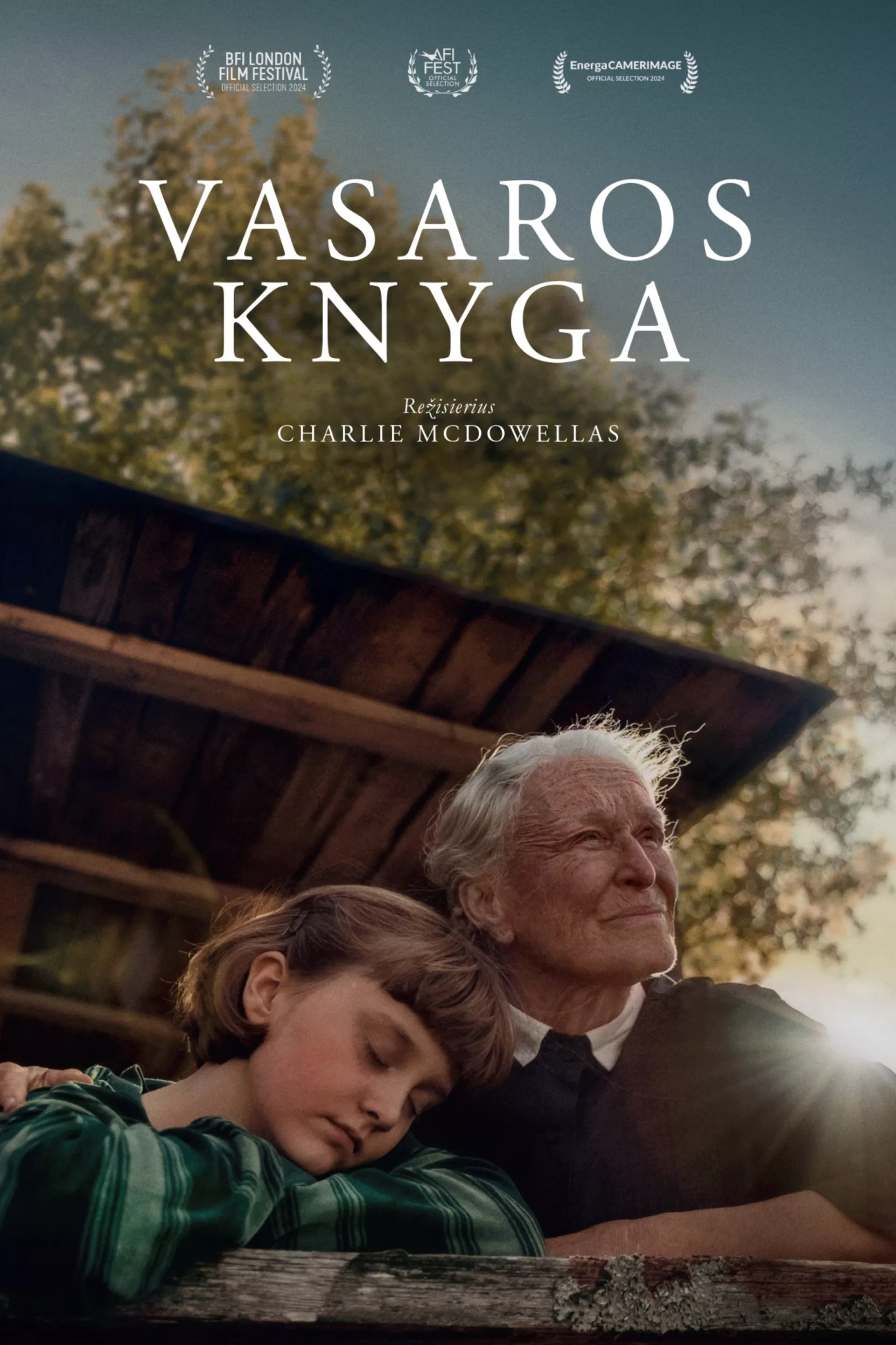 Vasaros knyga