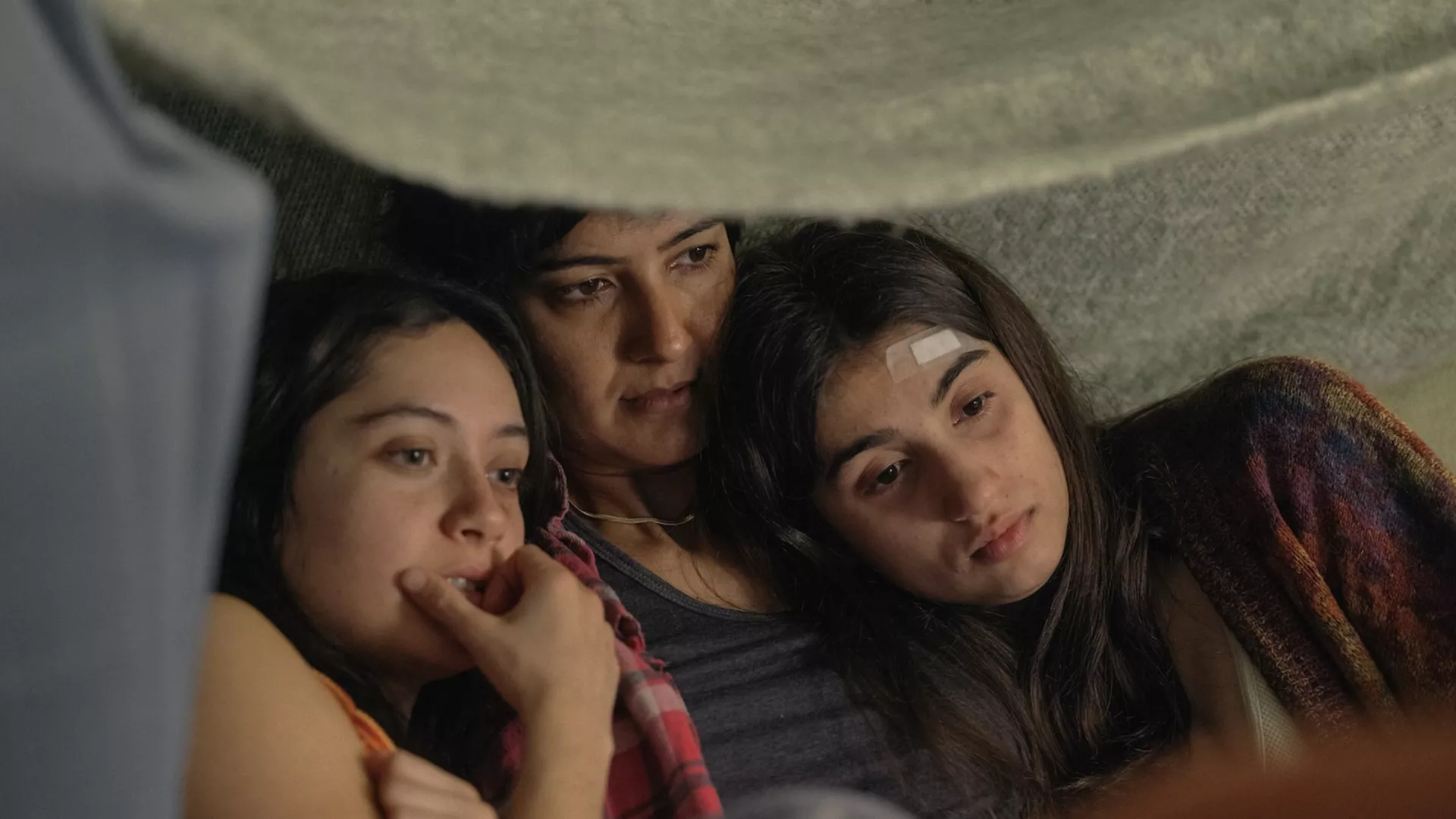 Naujienos iš „Lokys, liūtas ir šakelė“ filmų kolekcijos