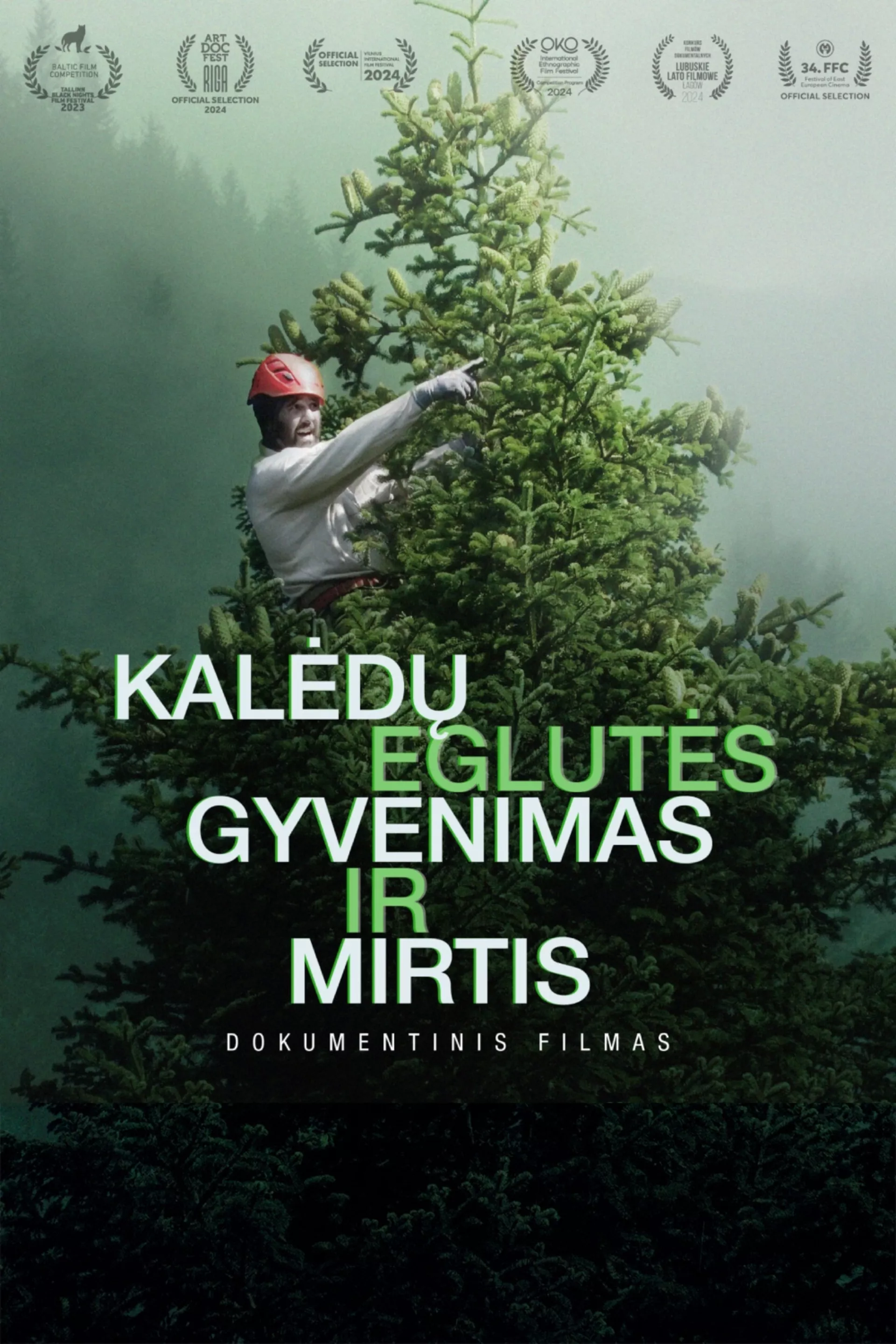 Kalėdų eglutės gyvenimas ir mirtis