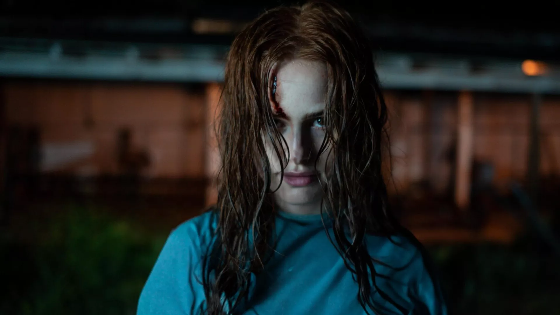 Nepažįstamieji: antra dalis